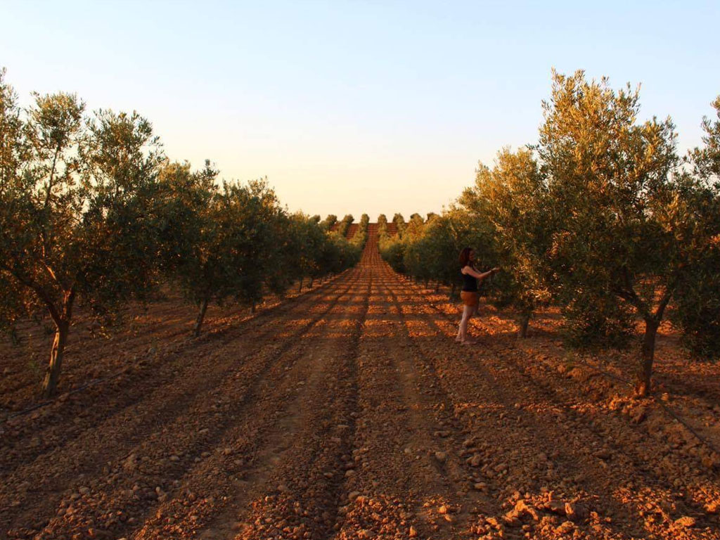rutas senderismo badajoz sierra hornachos cabecera olivares