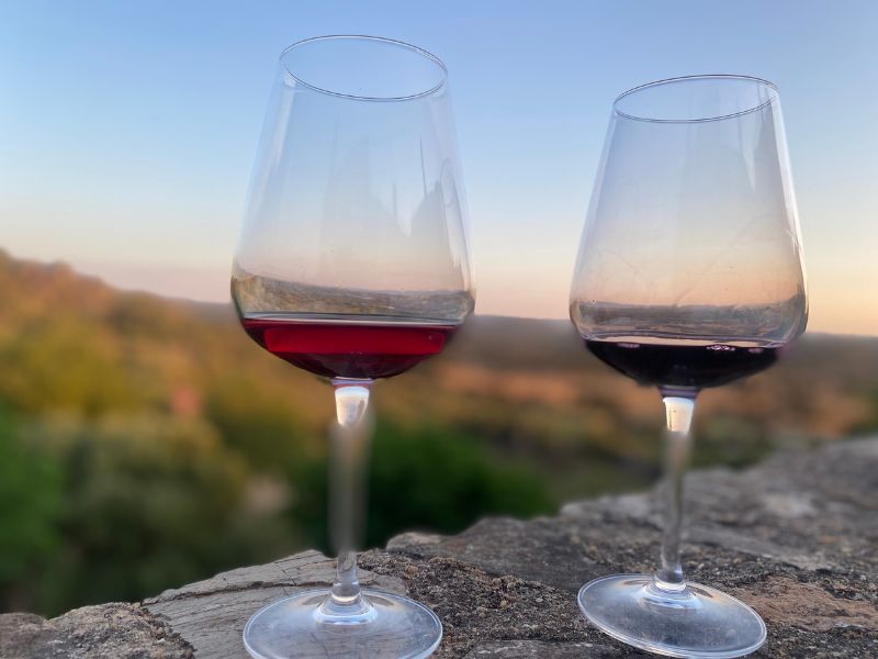 noche vino rocamador agosto