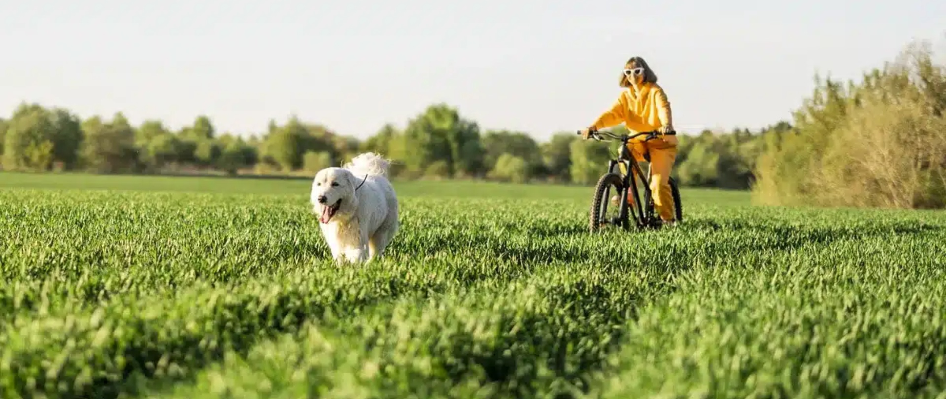 hotel petfriendly extremadura hotel bodega el moral